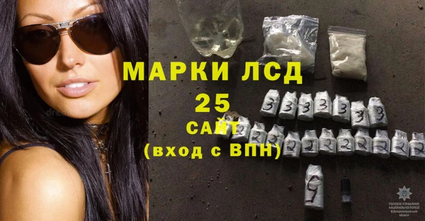 твердый Михайлов