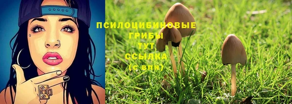 метадон Михайловка