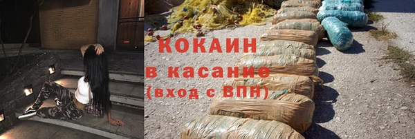 твердый Михайлов