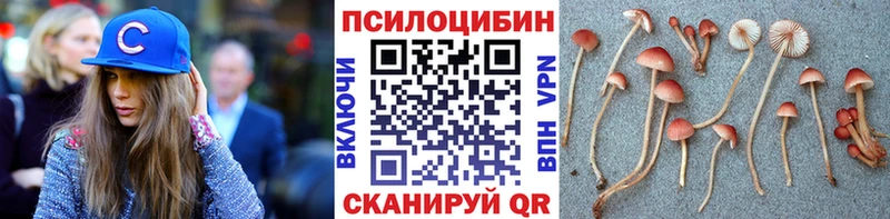 Галлюциногенные грибы Psilocybine cubensis Купить где Пугачёв